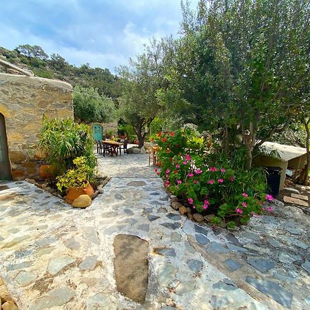 Natura Cottages Makrýgialos 外观 照片