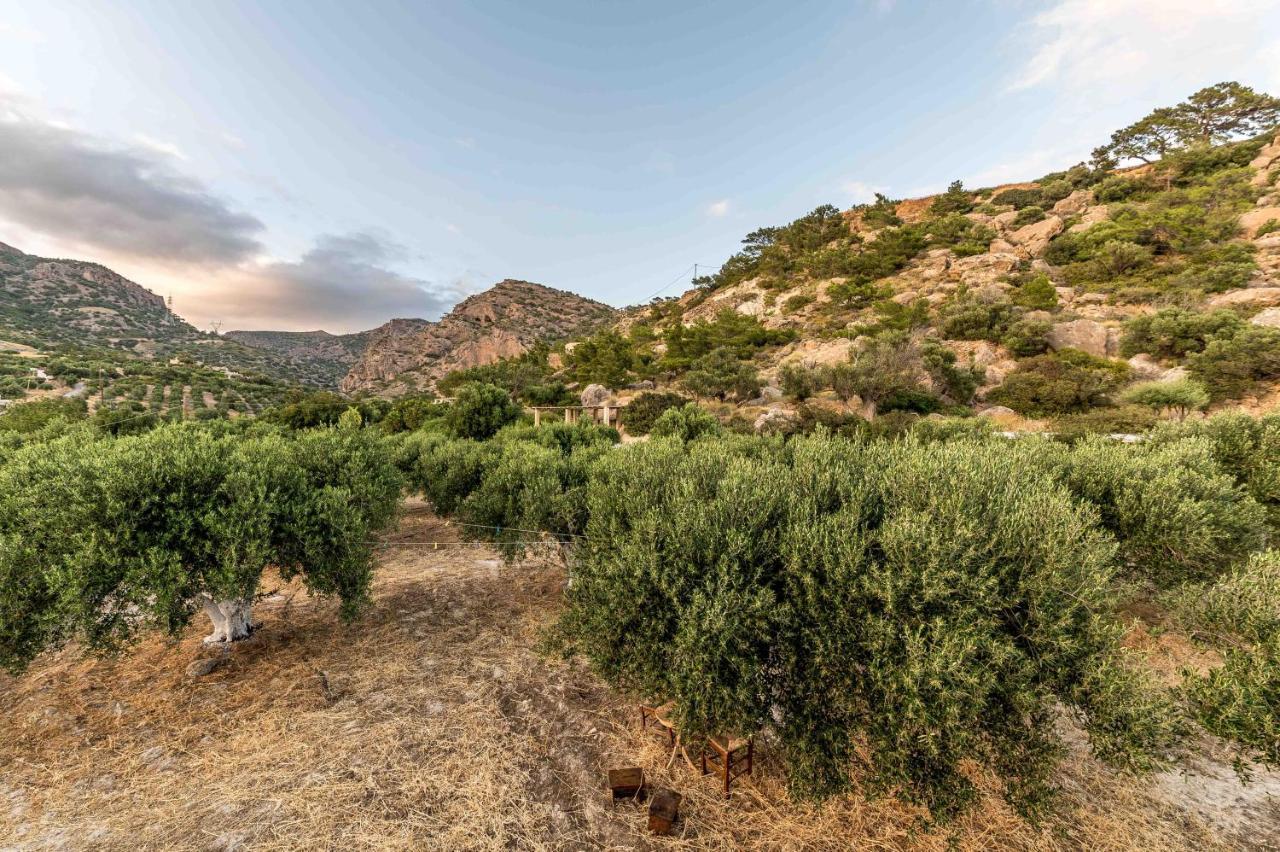 Natura Cottages Makrýgialos 外观 照片