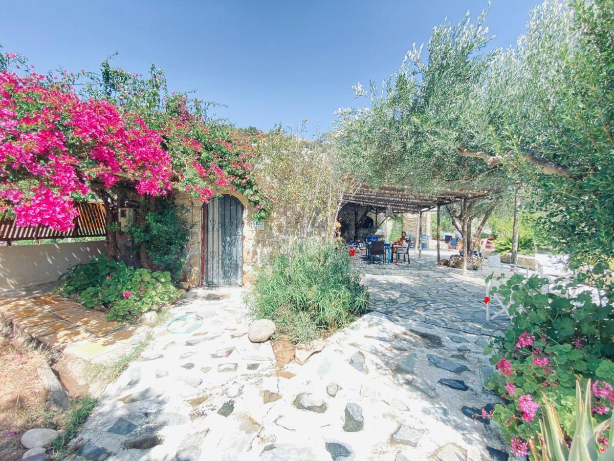 Natura Cottages Makrýgialos 外观 照片